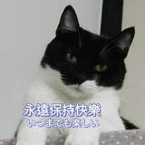白马回故里