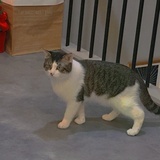 muucy
