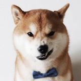 潮公子