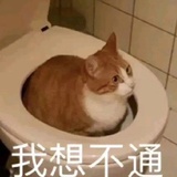 钱驴驴