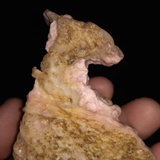鲁而能达