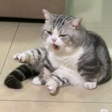 Dawn子墨