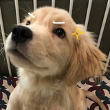 ixxxx