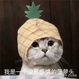 砚焉