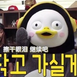 白菜不要钱