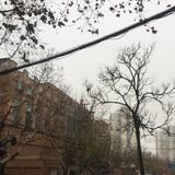 西西弗斯的使命