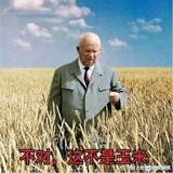 稻