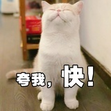 小关张