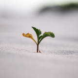 没时间绝望