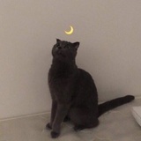 修咻宁酱