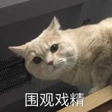 榴莲精