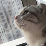 糊红火火