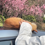 颐桥