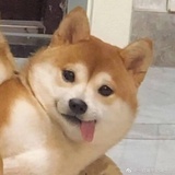 草莓葫芦酱