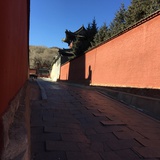 道亦有道