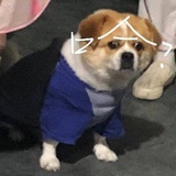 기기💓