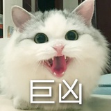 王小彬