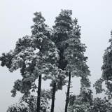 未名明