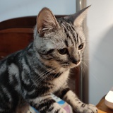 猥小璐