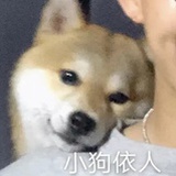 佳佳