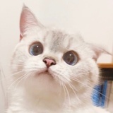 。