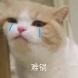 软软超可爱
