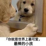 羊咩咩