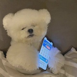 间歇性话唠家