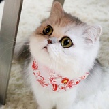 旧时光里的我们