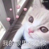 妮妮