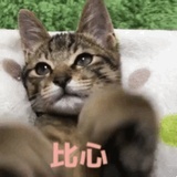 不会玩的人