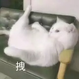 一脸萌币