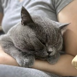 Siyi