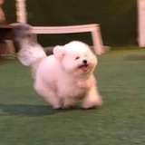 十方