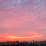 菠萝先生