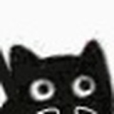 猫猫诶