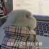 谱谱宝谱谱宝