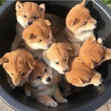 忽然之间