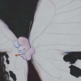 不想说茄子