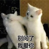 啦啦啦