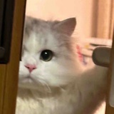 慢慢