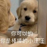 橙子皮和牛奶