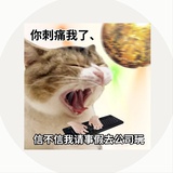 钢铁弯女
