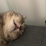 啊嘘