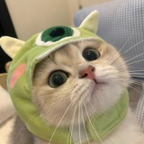 不干了