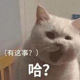 打老虎
