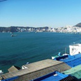 兔小白