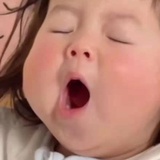 素鸢
