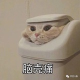 脑壳疼