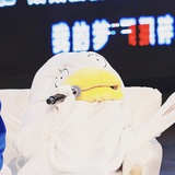 肥肥（已畏惧